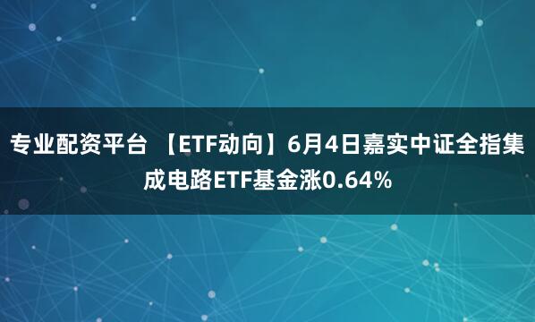 专业配资平台 【ETF动向】6月4日嘉实中证全指集成电路ETF基金涨0.64%